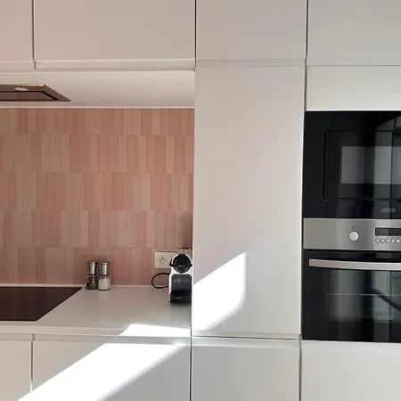 아파트 Frans Lichtrijk 2slpk 오스텐드