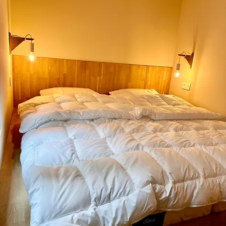 Frans Lichtrijk 2slpk Lejlighed *