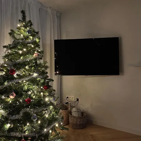 Frans Lichtrijk 2slpk Lejlighed